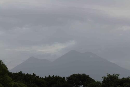 f10741376-min